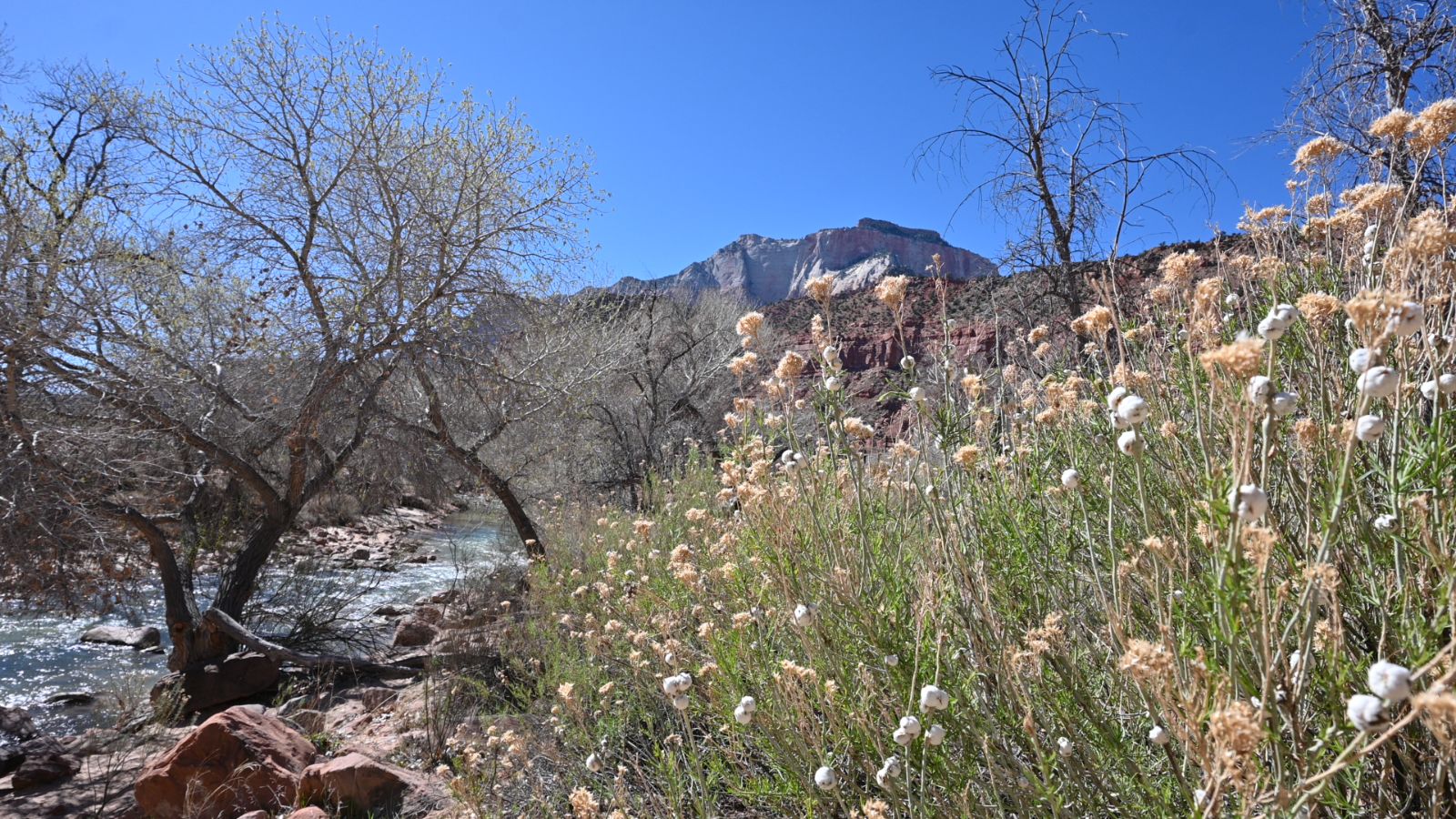Zion