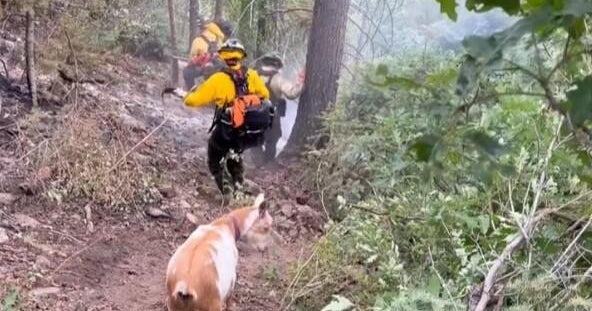 Photo: cbsnews.com