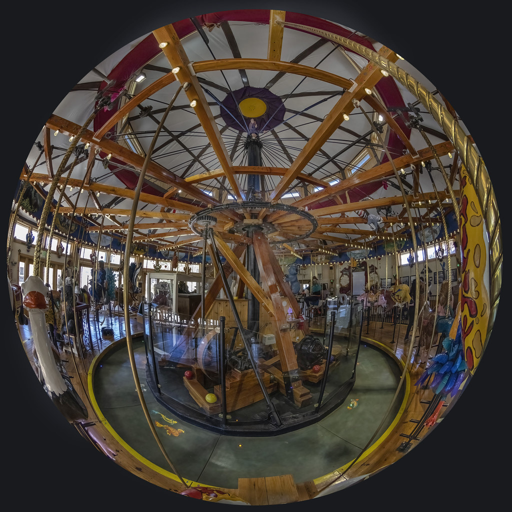 "Carousel of Happiness" by Sauntering Photographer is licensed under CC BY-ND 2.0.