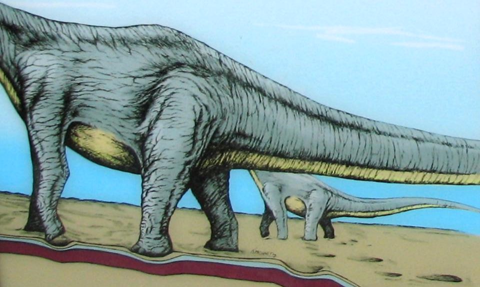 "Reconstruction of sauropod dinosaurs making footprints in sand (Morrison Formation, Upper Jurassic; western side of Dinosaur Ridge, Colorado, USA)" by James St. John is licensed under CC BY 2.0.