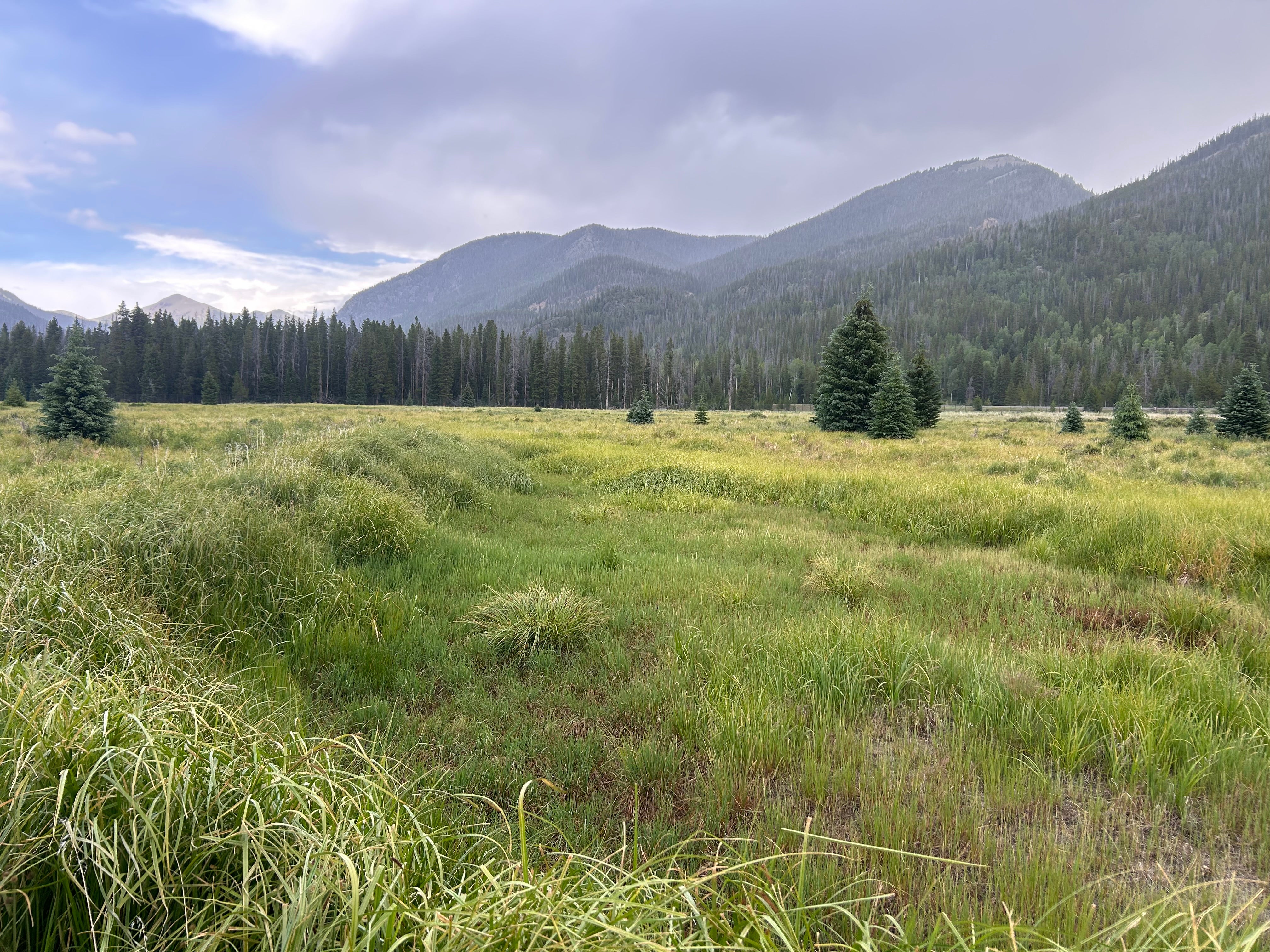 Photo: colorado.edu