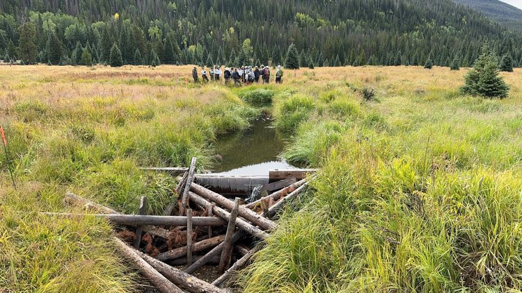 Photo: coloradosun.com