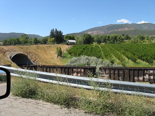 "black bridge vineyard and train" by stevendamron is licensed under CC BY 2.0.