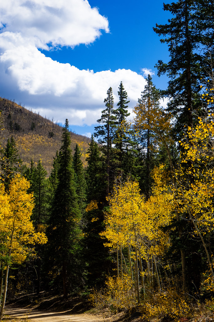 "Kenosha Pass walk" by CAJC: in the PNW is licensed under CC BY-SA 2.0.