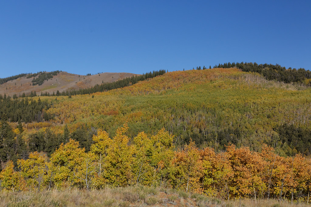 "Kenosha Pass" by KimonBerlin is licensed under CC BY-SA 2.0.