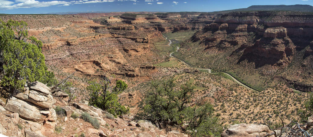 "Dolores Recreational River, Colorado" by mypubliclands is licensed under CC BY 2.0.