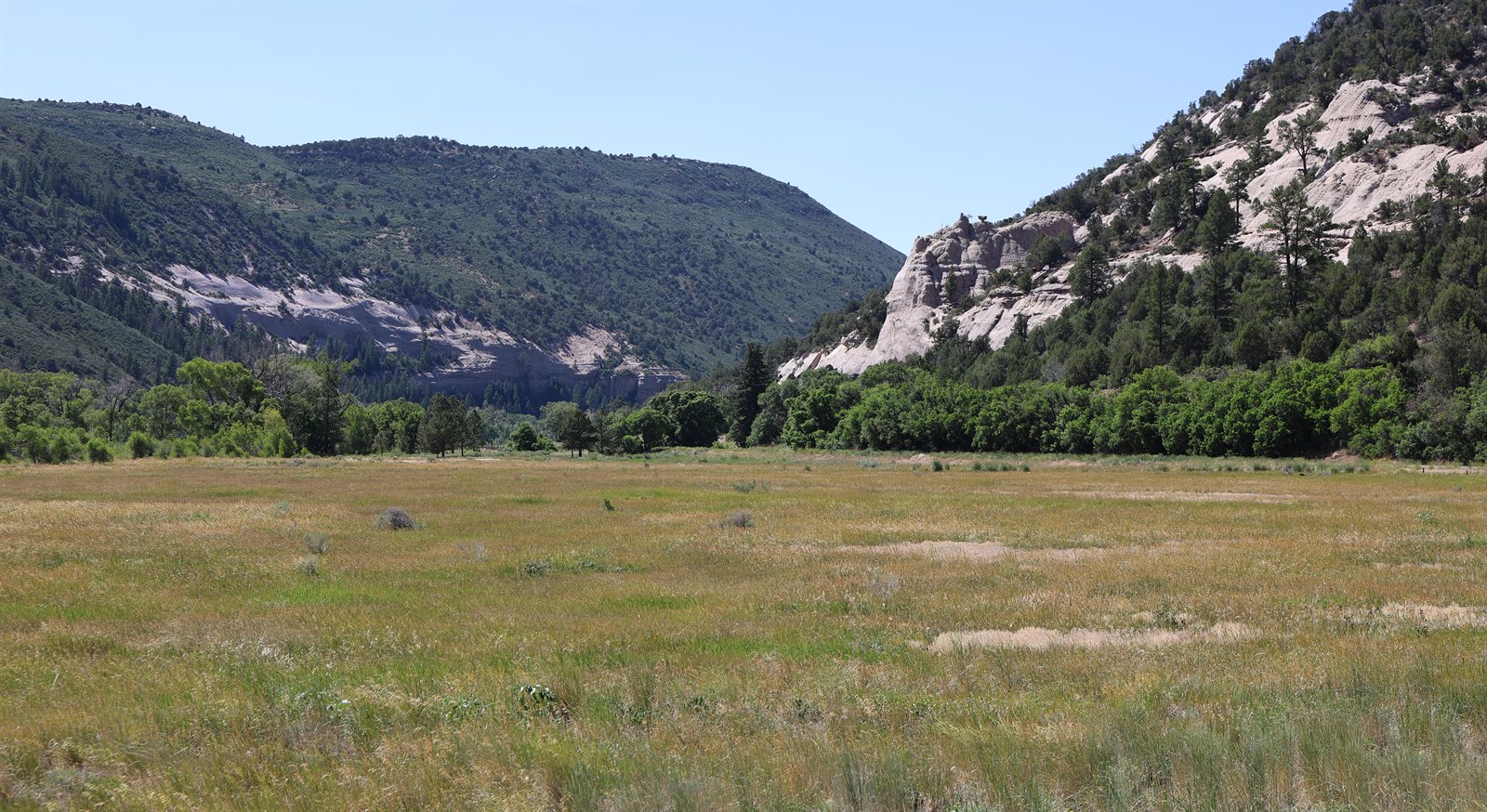 "Dolores River Canyon below McPhee Dam" by Jeffrey Beall is licensed under CC BY 4.0.