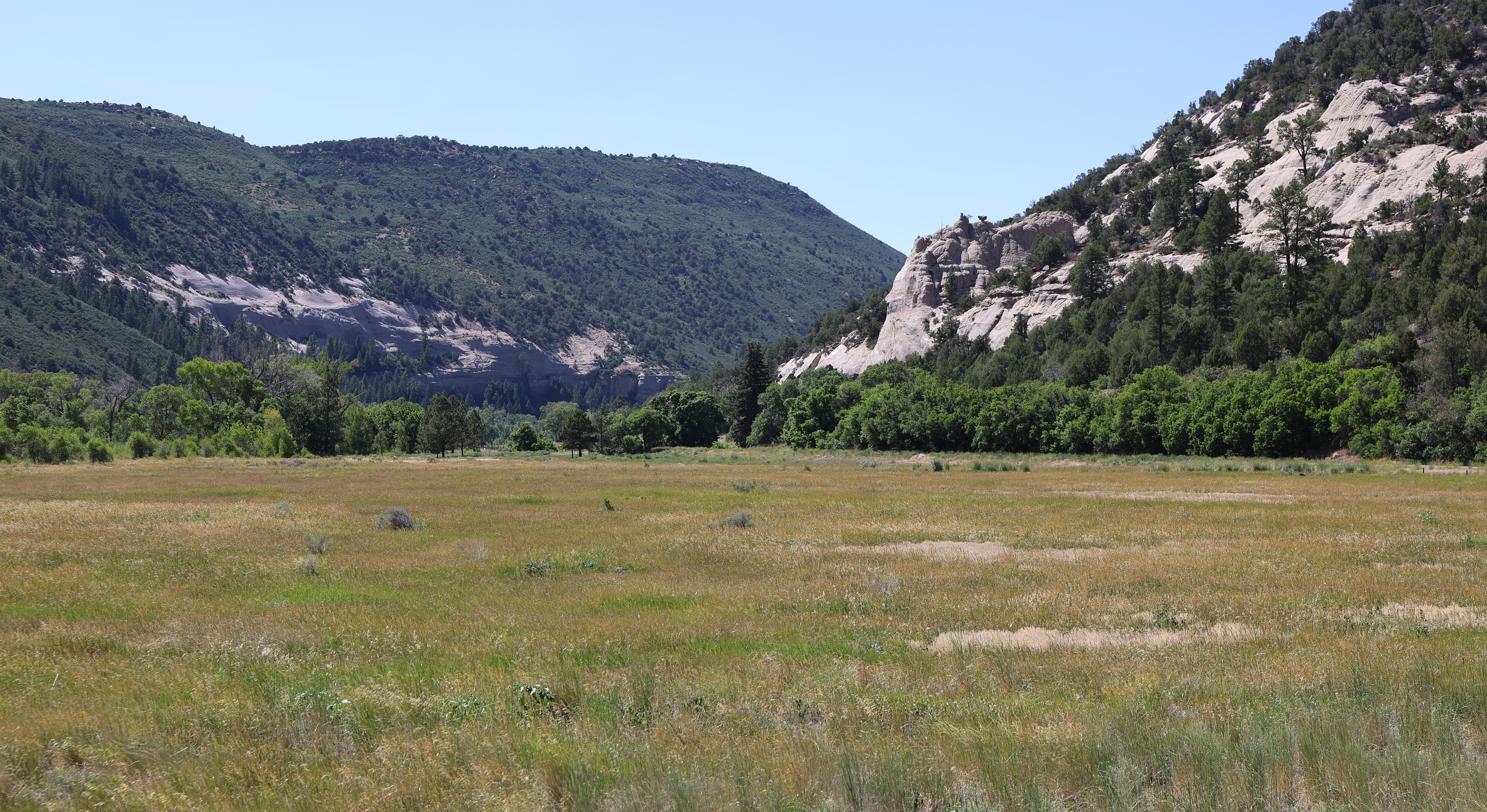 "Dolores River Canyon below McPhee Dam" by Jeffrey Beall is licensed under CC BY 4.0.