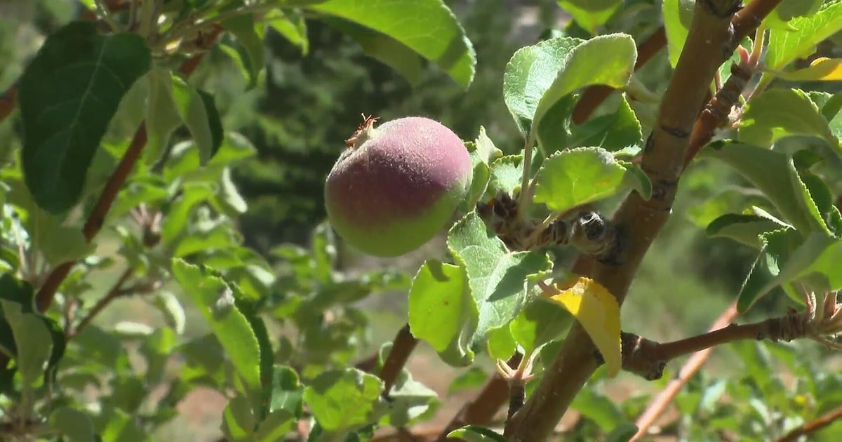 Photo: cbsnews.com