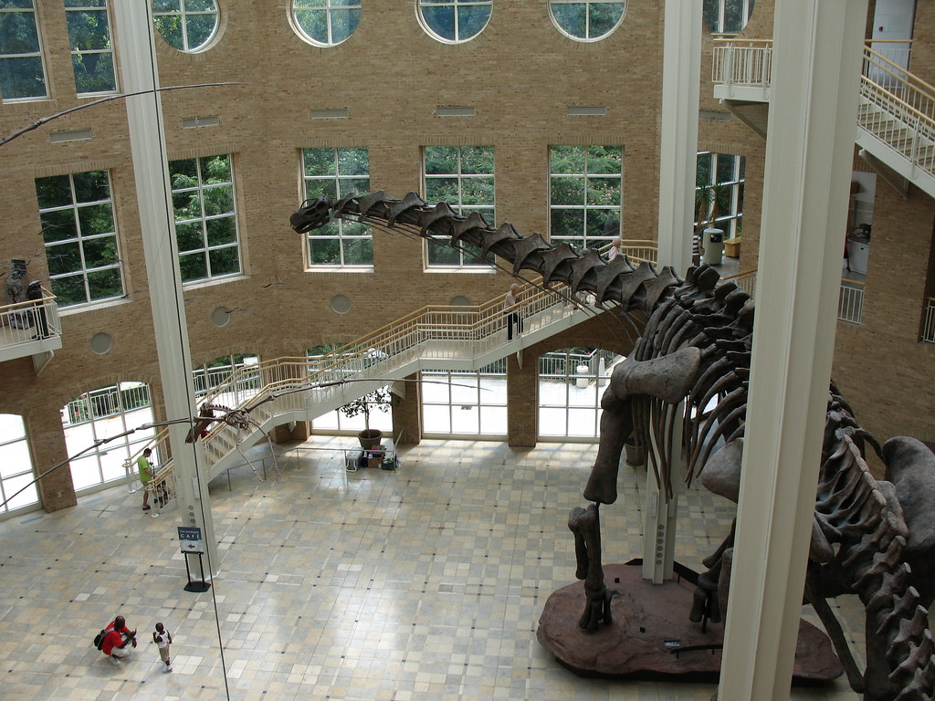 "Dinosaurs in Great Hall_0173" by hoyasmeg is licensed under CC BY 2.0.