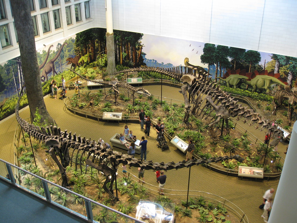 "Dinosaurs in Their Time: Jurassic Era Room" by daveynin is licensed under CC BY 2.0.