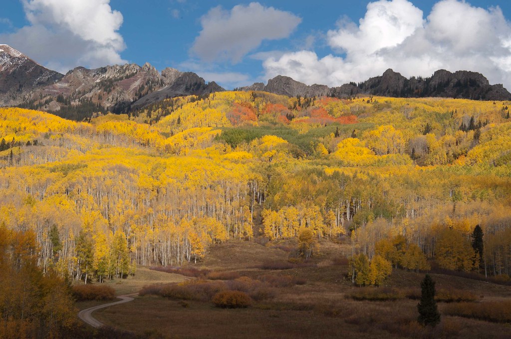 "Fall Colors" by U.S. Geological Survey is licensed under CC BY 2.0.