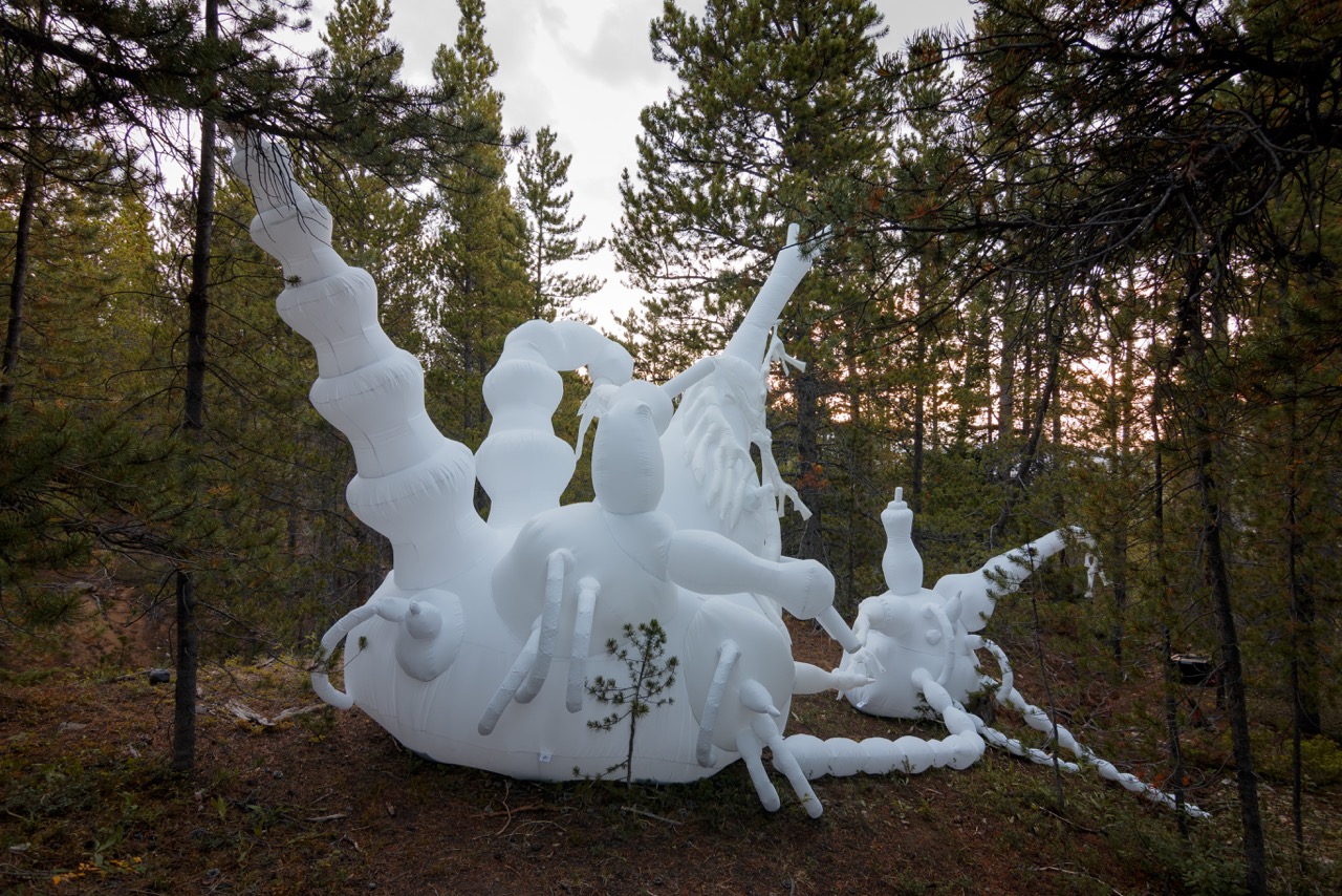 Photo: coloradosun.com