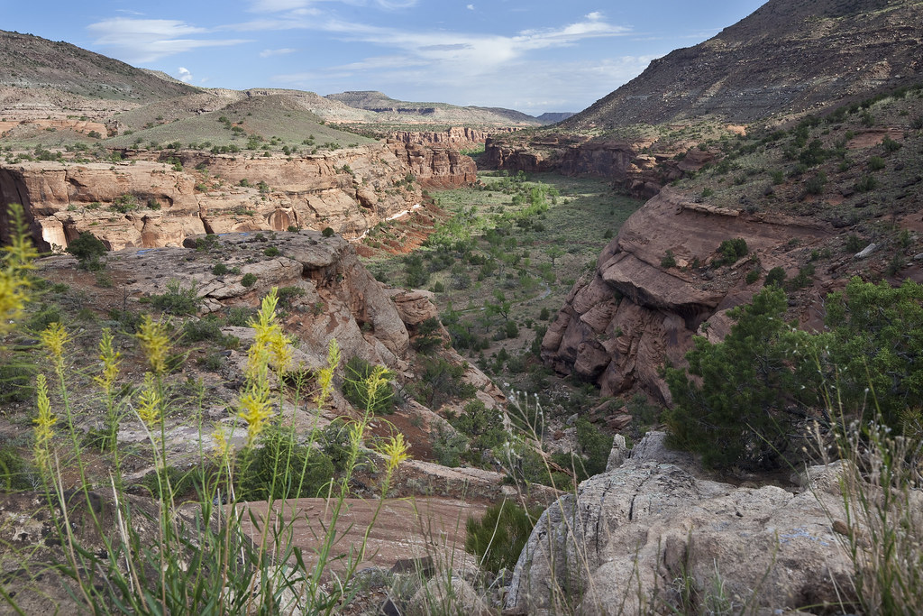 "Dominguez-Escalante NCA" by mypubliclands is licensed under CC BY 2.0.