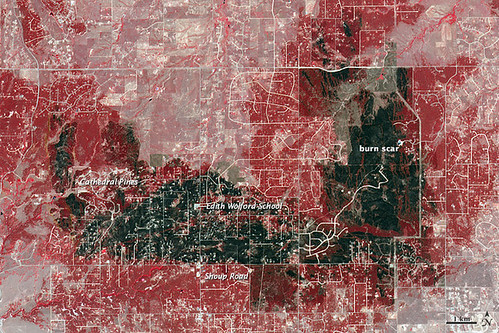 "Aftermath of Colorado’s Most Destructive Wildfire" by NASA Goddard Photo and Video is licensed under CC BY 2.0.