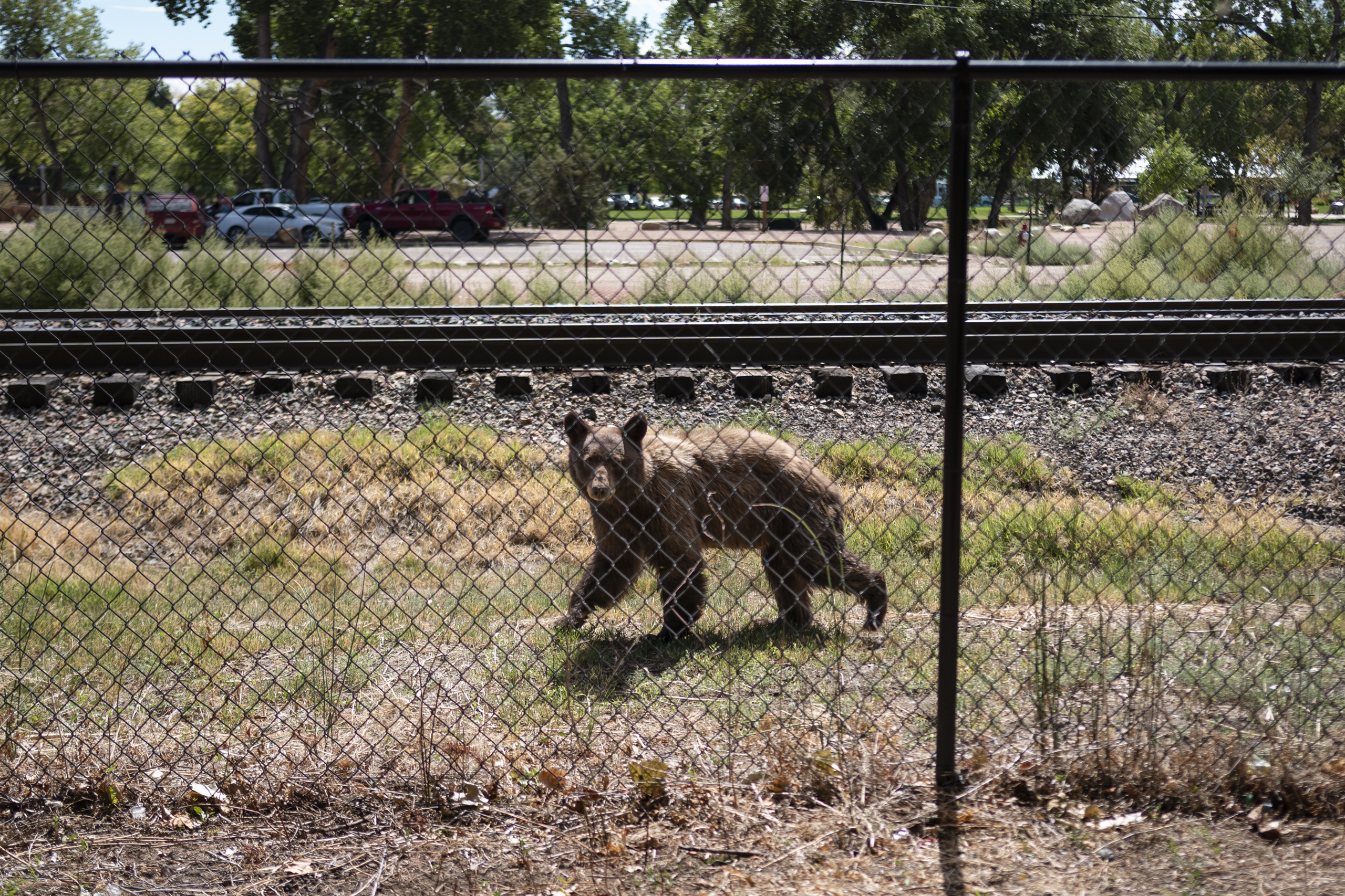 Photo: coloradosun.com