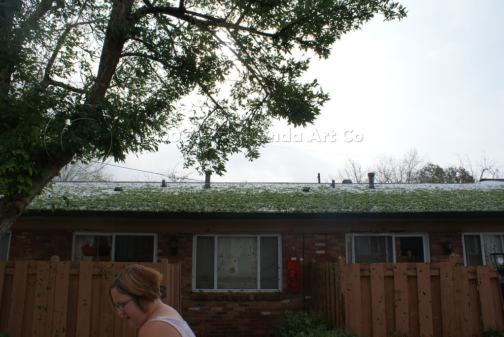 "amanda's head and hail and leaves on roof" by bradleygee is licensed under CC BY 2.0.