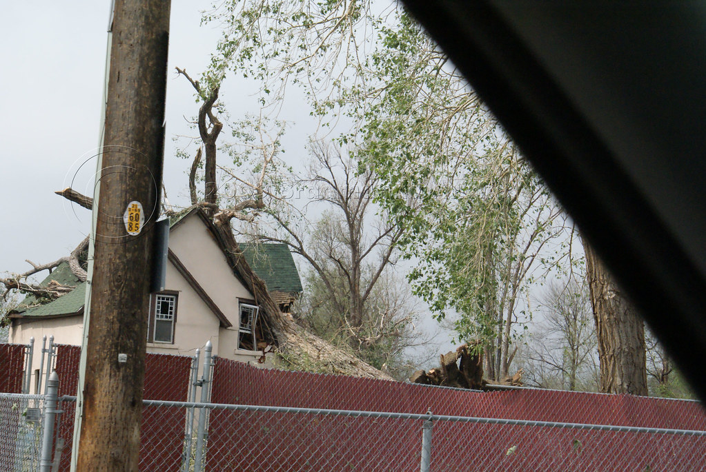 "tree through roof" by bradleygee is licensed under CC BY 2.0.