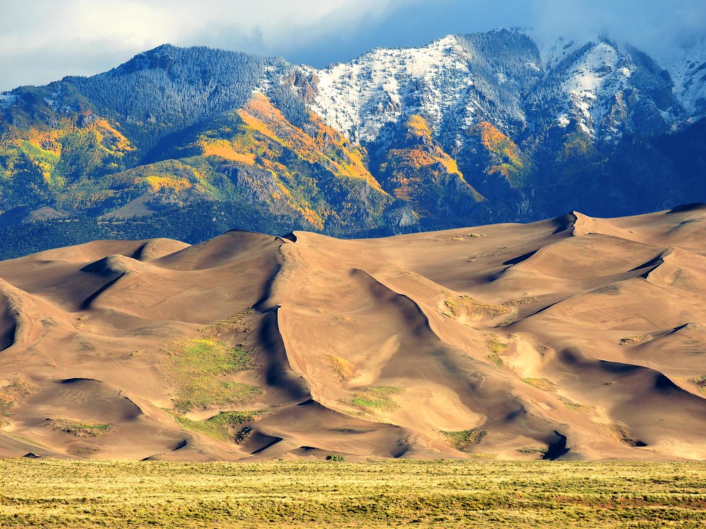 "Golden Aspen Groves Above Dune Ridges" by Great Sand Dunes National Park and Preserve is marked with Public Domain Mark 1.0. To view the terms, visit https://creativecommons.org/publicdomain/mark/1.0/.