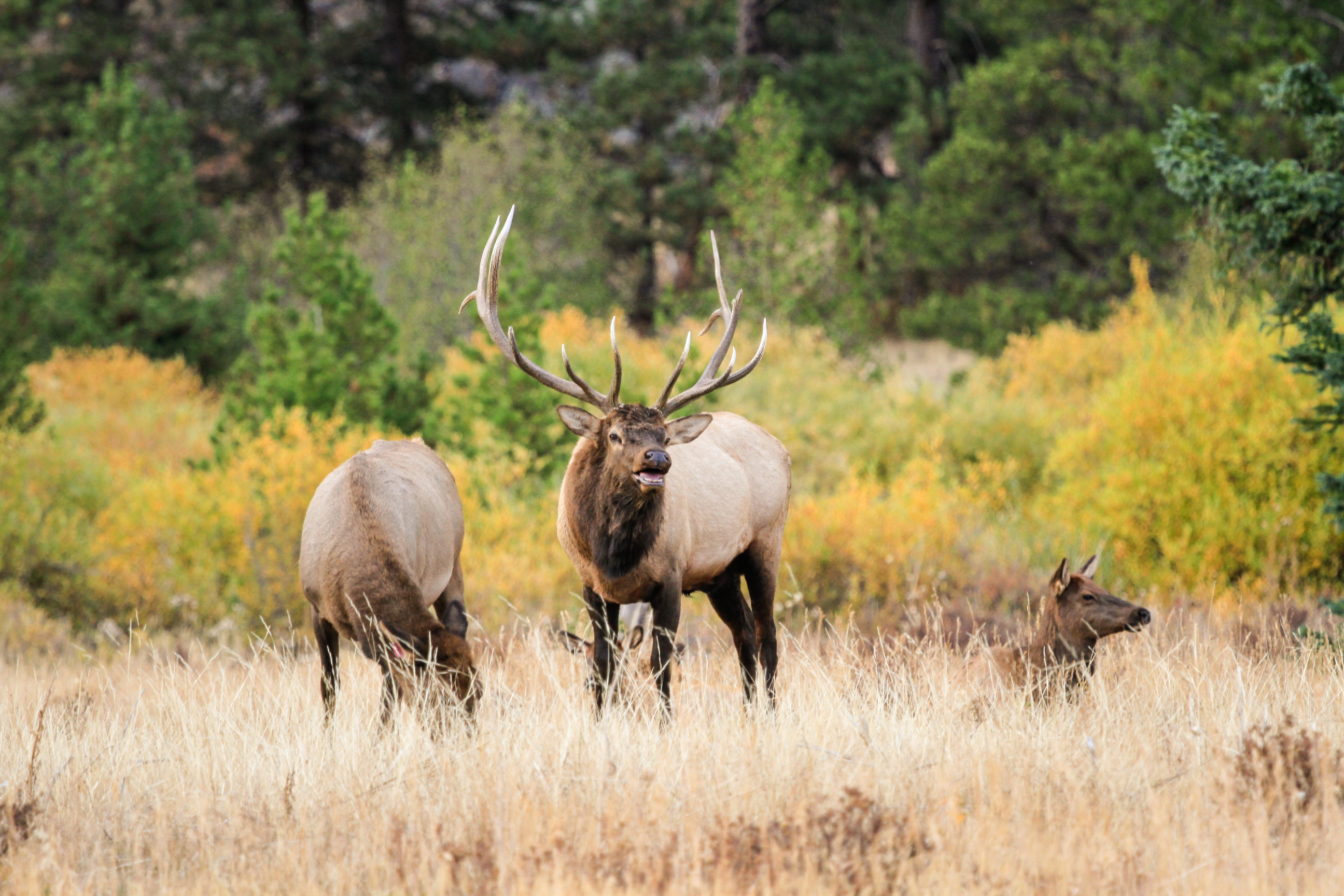 Photo: nps.gov