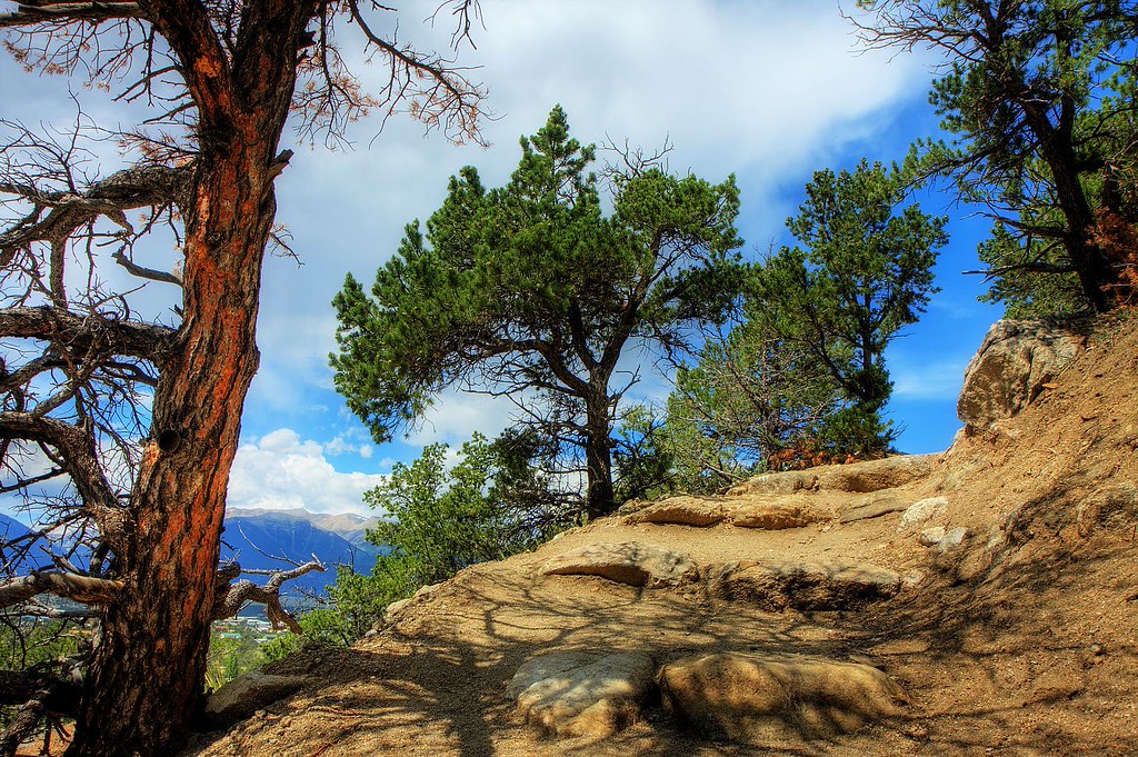 "Buena Vista Colorado" by Brokentaco is licensed under CC BY 2.0.