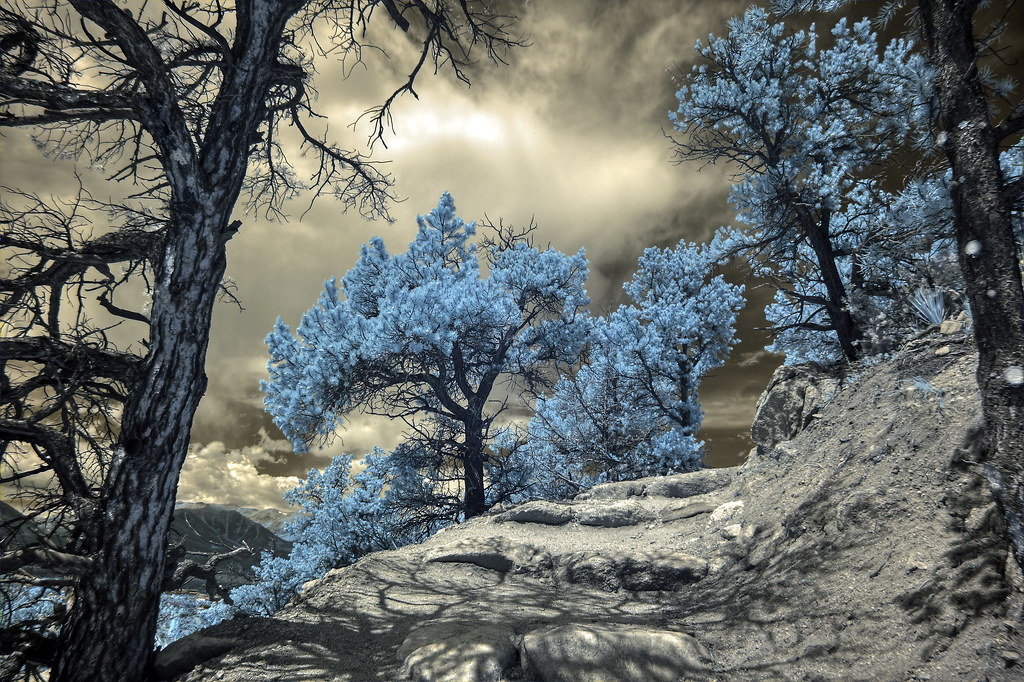 "Infrared HDR Buena Vista Colorado" by Brokentaco is licensed under CC BY 2.0.