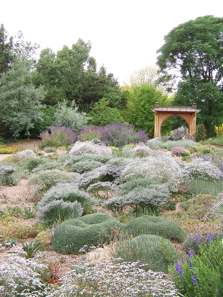 "Rock Garden" by patrick_standish is licensed under CC BY 2.0.