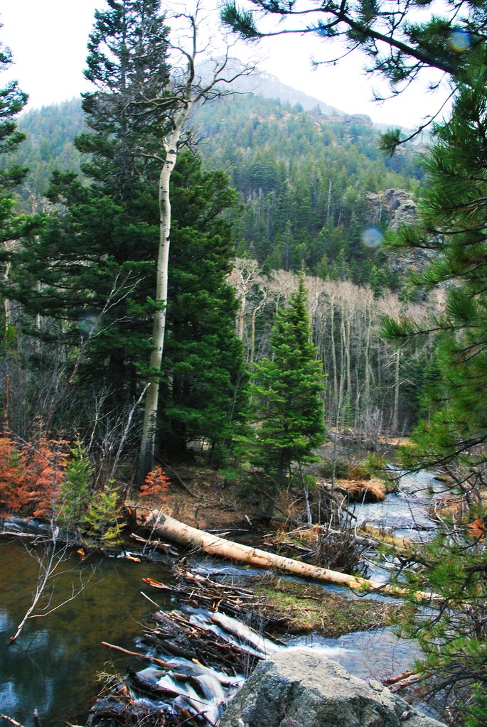 "Beaver Dam, Medano Creek" by Great Sand Dunes National Park and Preserve is marked with Public Domain Mark 1.0. To view the terms, visit https://creativecommons.org/publicdomain/mark/1.0/.