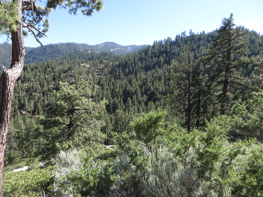 "View of Mountains from Heavenly Mountain Resort, Nevada" by Ken Lund is licensed under CC BY-SA 2.0.